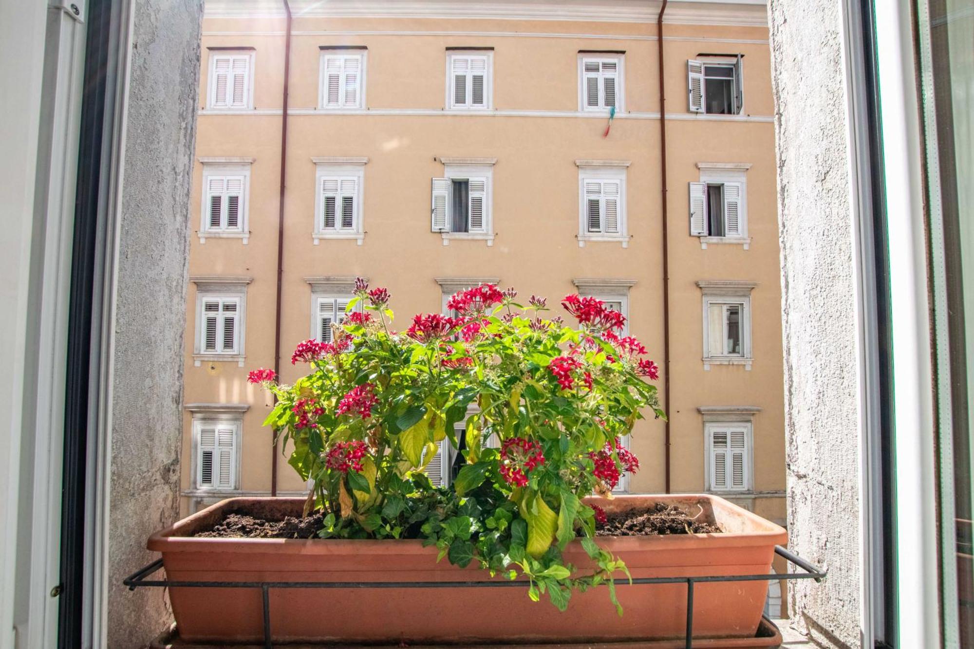 טריאסטה White Tower Guesthouse מראה חיצוני תמונה